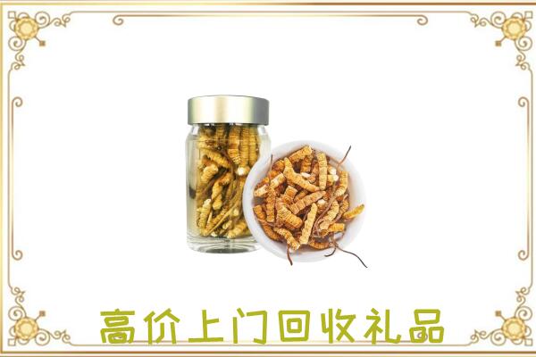 沧州周边回收虫草